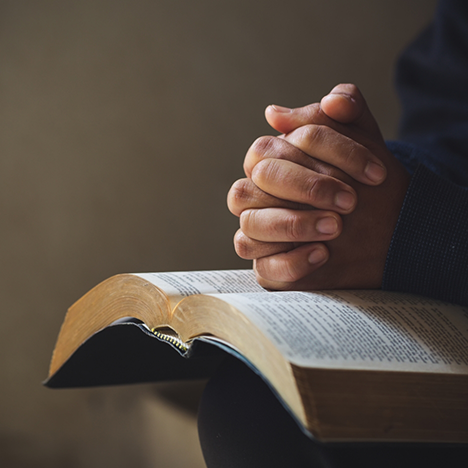 Reading book with hands folded