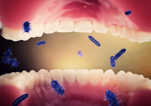 Bacteria in the mouth